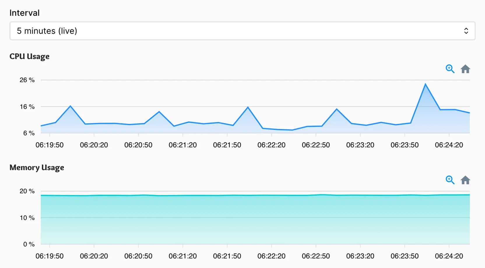 Close-up of CPU and memory usage charts with live 5-minute polling interval and zoom controls